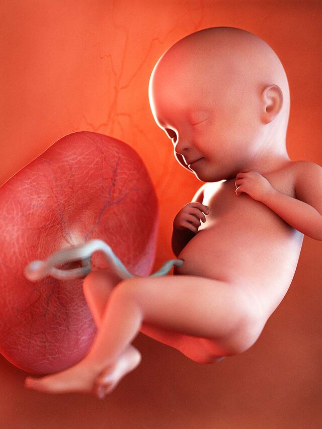 Womb Wonders: Unveiling Your Baby’s Secret Delights.